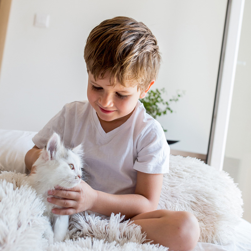 boy with cat
